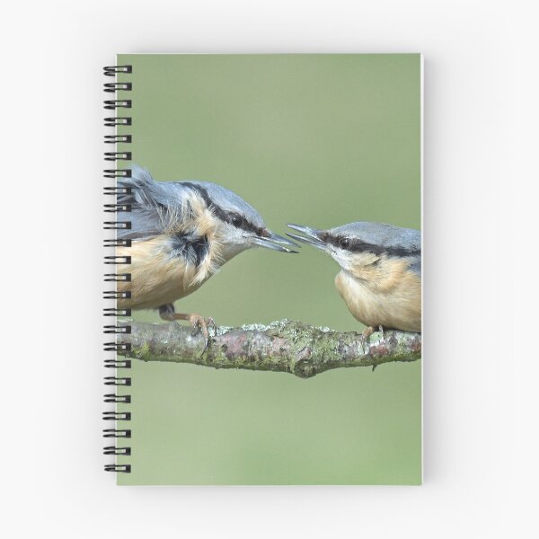 Item preview, Nuthatches designed and sold by Holmewood.