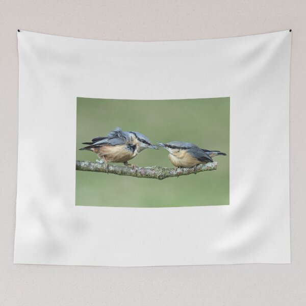 Item preview, Nuthatches designed and sold by Holmewood.