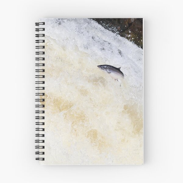 Item preview, Wild salmon leaping on a waterfall designed and sold by chanonry.