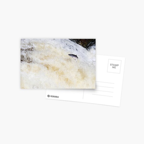 Item preview, Wild salmon leaping on a waterfall designed and sold by chanonry.