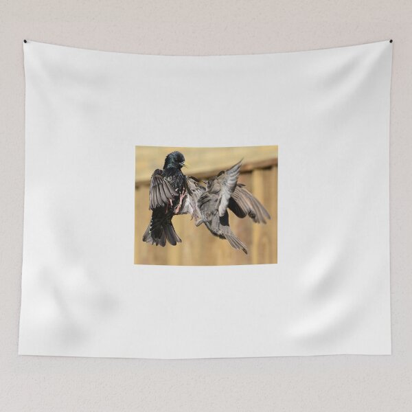 Item preview, Starlings designed and sold by Holmewood.