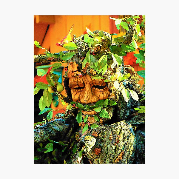 Green Man Photographic Print