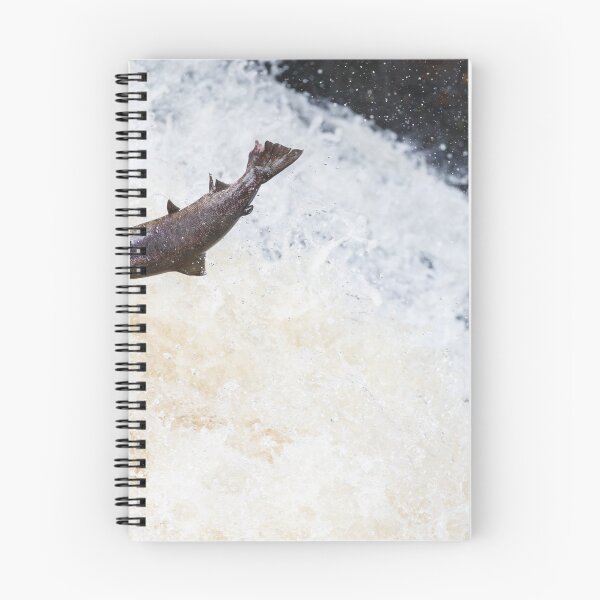 Item preview, Wild salmon leaping on a waterfall designed and sold by chanonry.