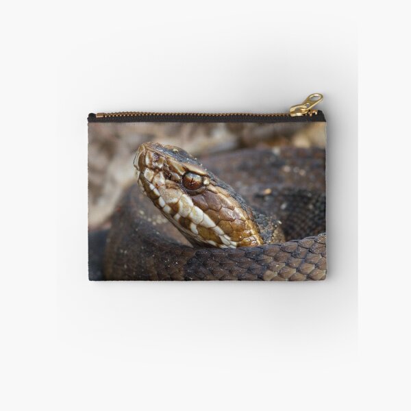 Item preview, Water Moccasin designed and sold by WorldDesign.