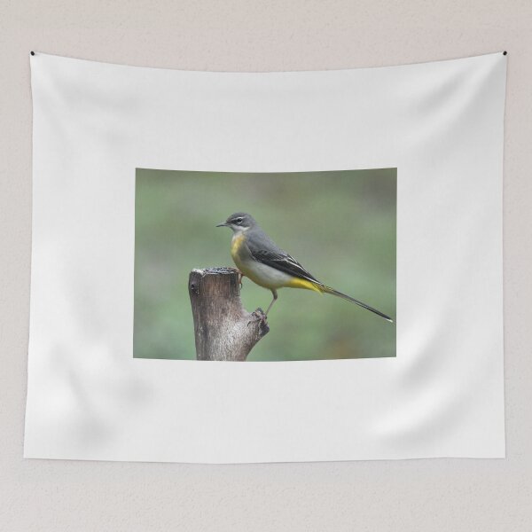 Item preview, Grey Wagtail designed and sold by Holmewood.