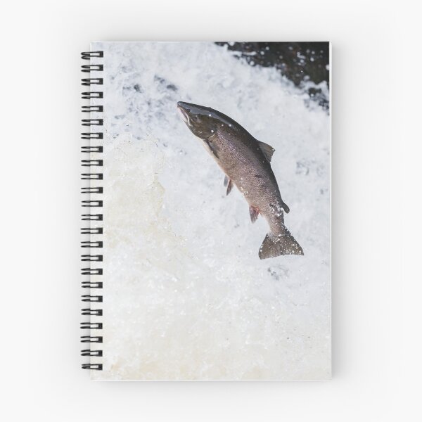 Item preview, Wild salmon leaping on a waterfall designed and sold by chanonry.