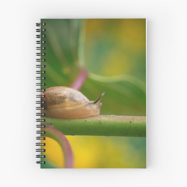 Item preview, Snail's Pace designed and sold by dlamb.