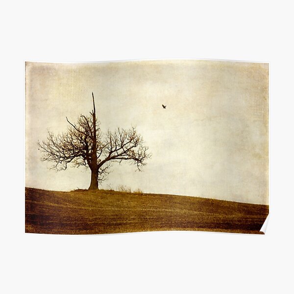 Lone Tree, One Crow Poster