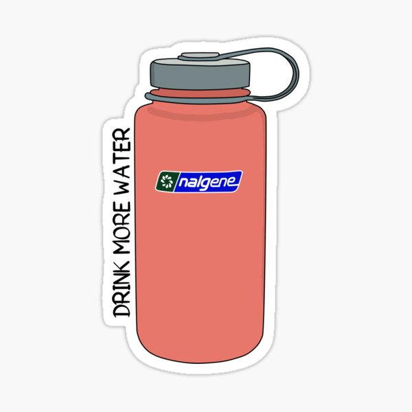 Frank Green Drink Bottle Drink More Water Sticker for Sale by  Dakotasdesigns