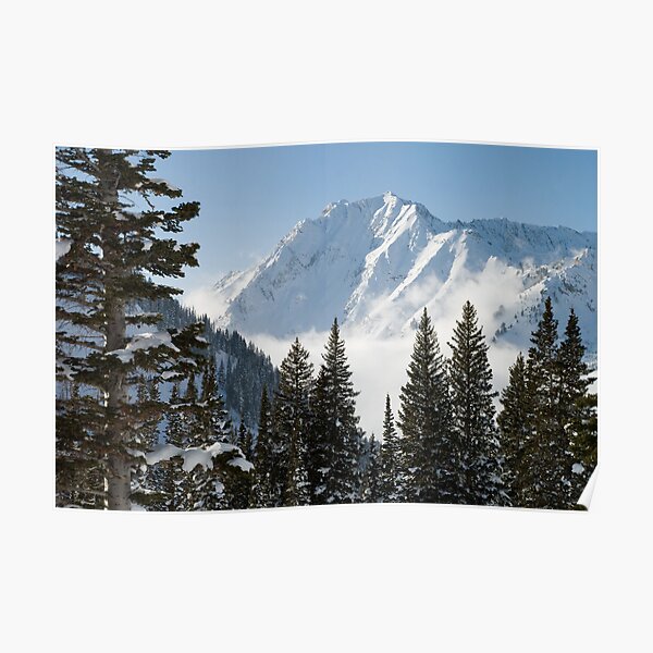 Mt. Superior Poster