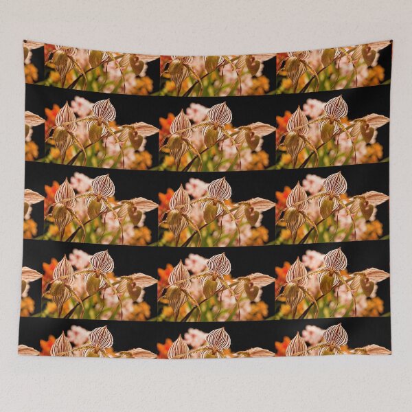 Item preview, USA. Philadelphia Flower Show 2012. Orchid. designed and sold by vadim19.