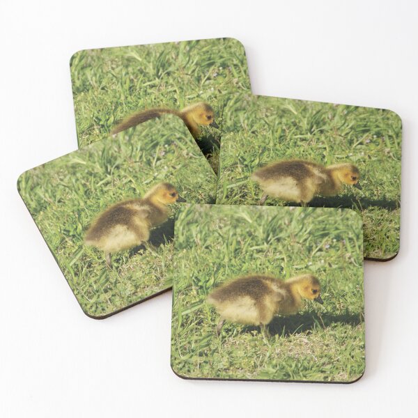 Item preview, Sad Baby Duck Duck Goose designed and sold by KensLensDesigns.