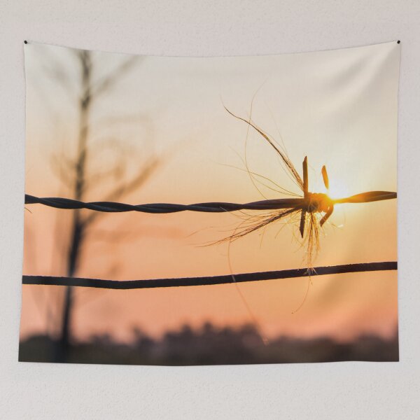 Item preview, Fire Sunset 13 designed and sold by Candice O'Neill.