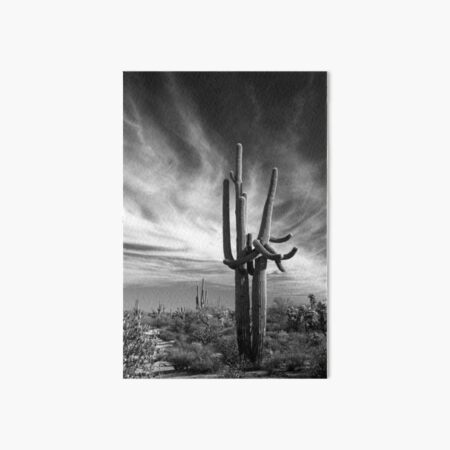 Majestic Beauty Art Board Print