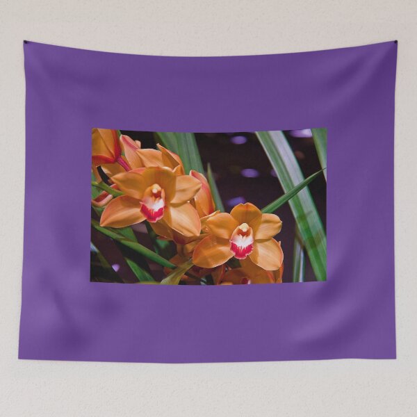 Item preview, USA. Philadelphia Flower Show 2012. Some more orchids.  designed and sold by vadim19.