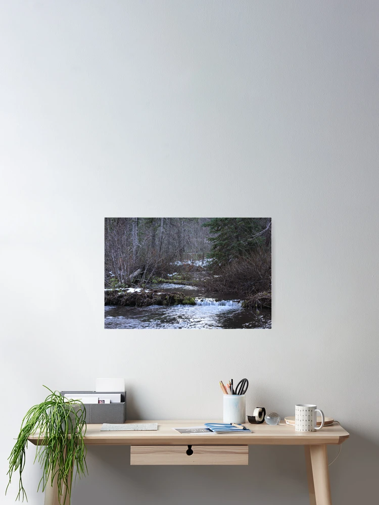 Imagen 2 de 3, Póster con la obra Jack Spring, diseñada y vendida por WaterInMotion.