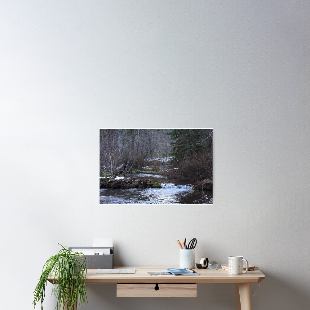 Vista previa del artículo con la obra «Póster», diseñado y vendido por WaterInMotion.