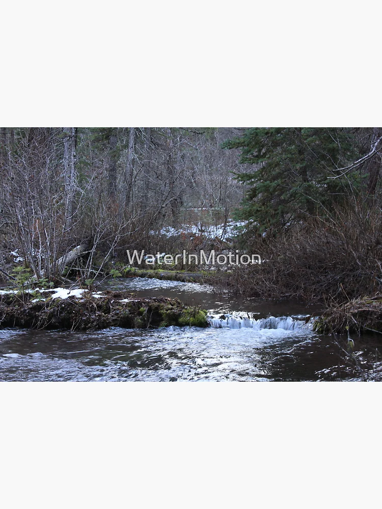 Imagen 3 de 3, Póster con la obra Jack Spring, diseñada y vendida por WaterInMotion.