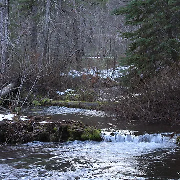 Imagen de la obra Jack Spring de WaterInMotion