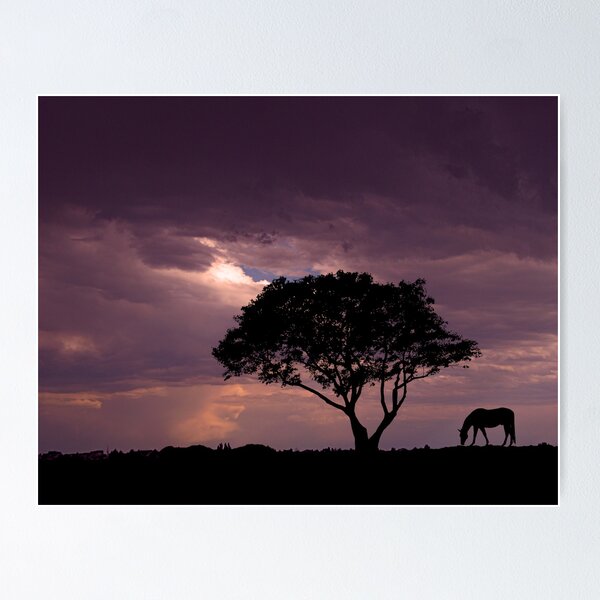 Item preview, 399 designed and sold by peter holme III.