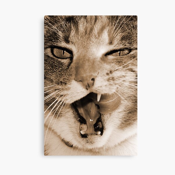 That Was Delicious Canvas Print