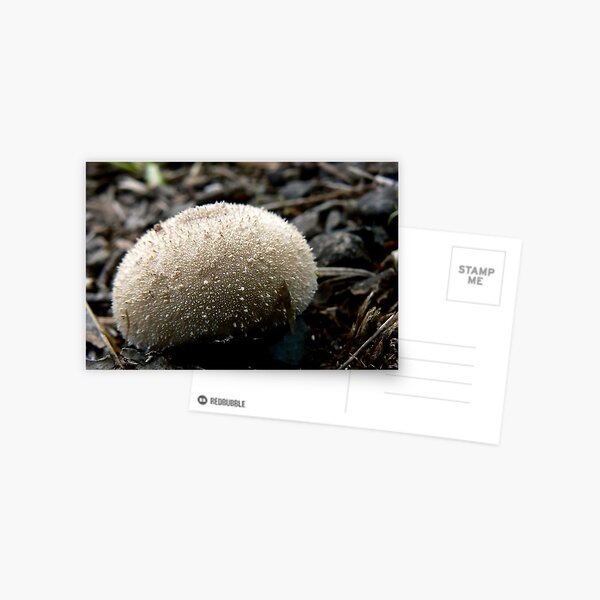 Item preview, Puffball designed and sold by Erin Anderson.