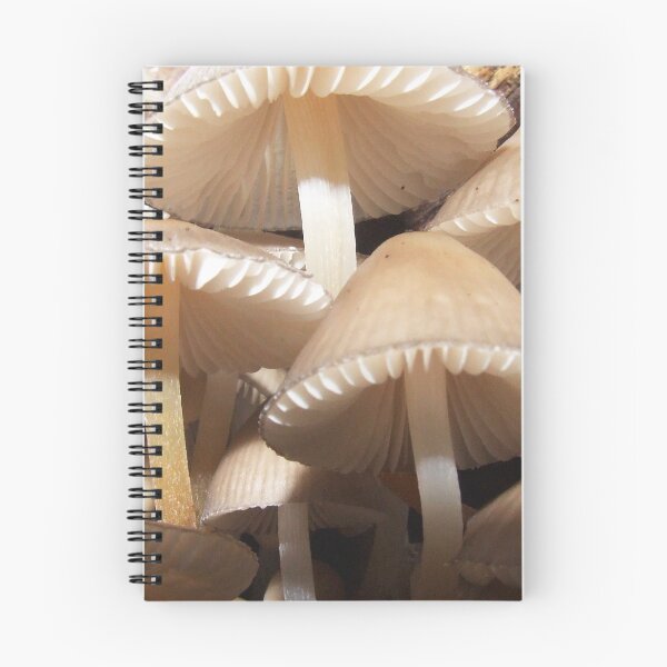 Item preview, Perky Parasols designed and sold by Paul Gibbons.