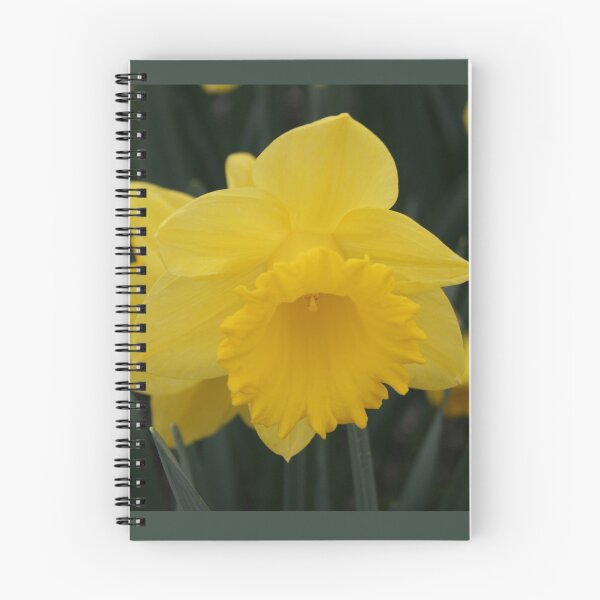 Item preview, Daffodil designed and sold by Kelley Shannon.