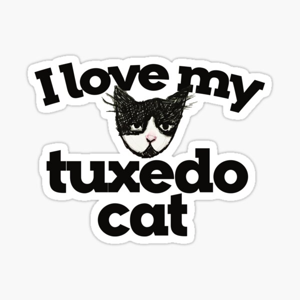 i love my silly cat stickers! they're so cute i have some in my