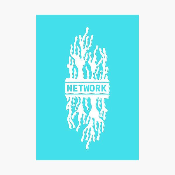 NETWORK Photographic Print
