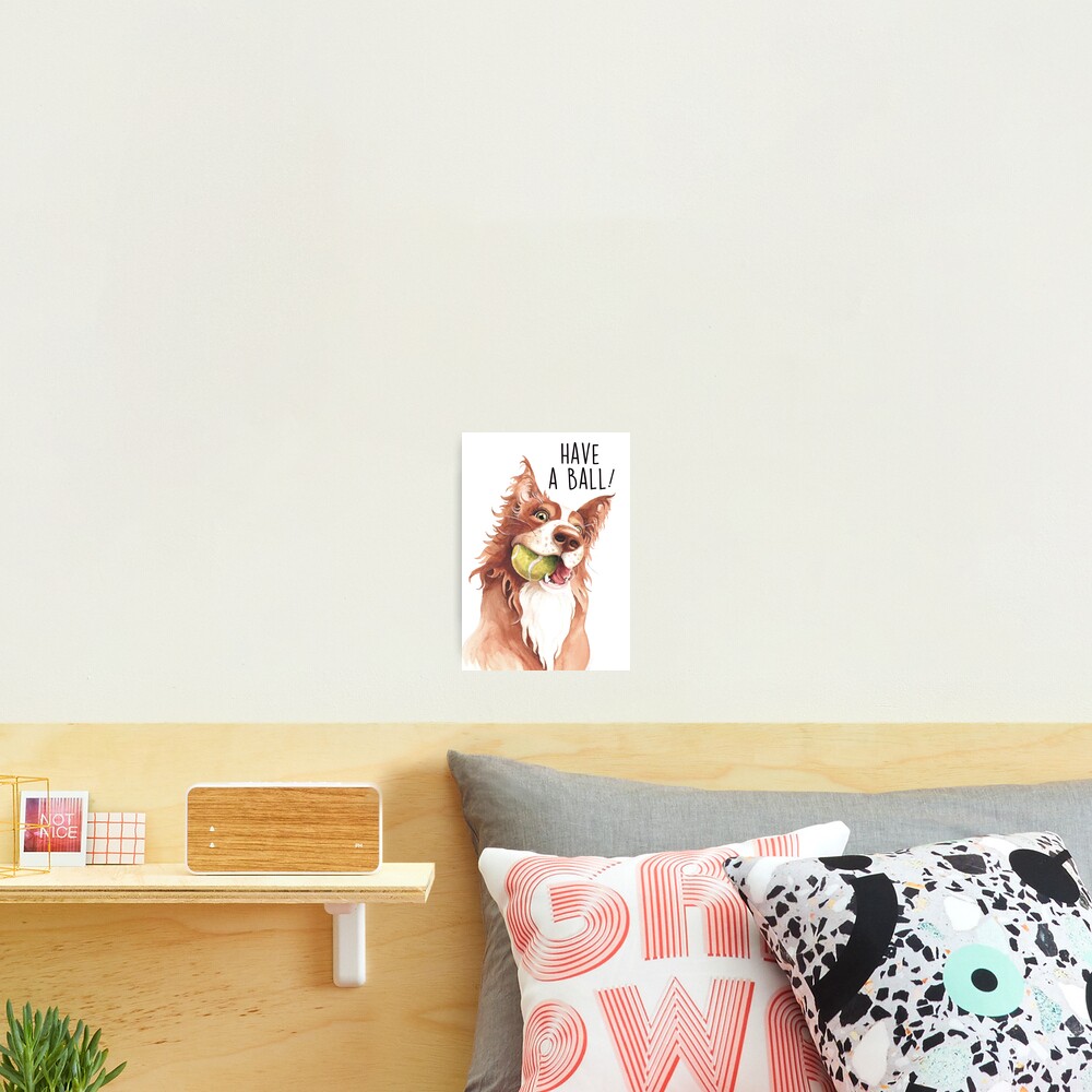 Have A Ball! Photographic Print