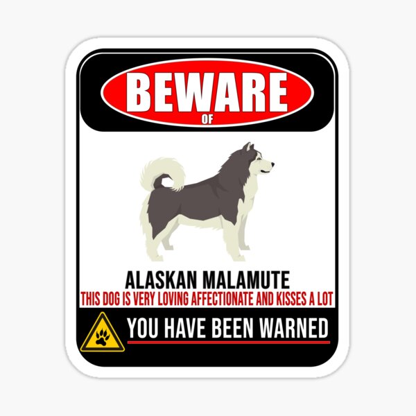 Beware Of Alaskan Malamute This Dog Is Loving and Kisses A Lot Sign Sticker - Funny Gift For Alaskan Malamute Dog Owner Sticker