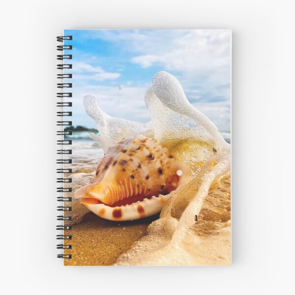 Item preview, Shell on the beach at Cotton Tree Beach - Sunshine Coast designed and sold by susiereynolds66.