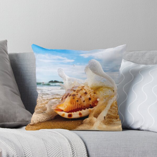 Item preview, Shell on the beach at Cotton Tree Beach - Sunshine Coast designed and sold by susiereynolds66.