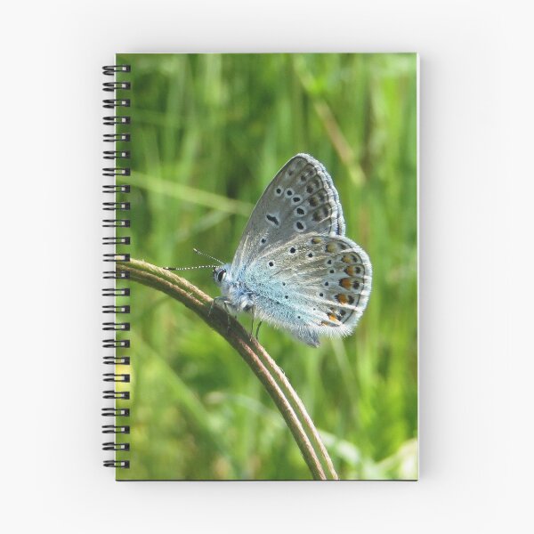 Item preview, A Lovely Common Blue designed and sold by ienemien.