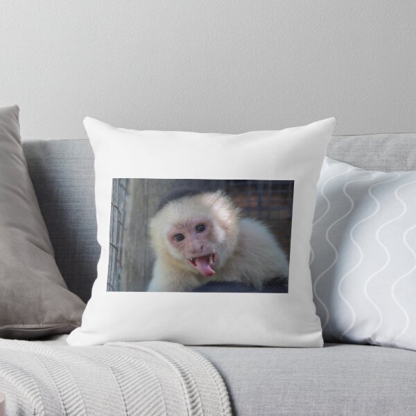 Item preview, White-Headed Capuchin Monkey designed and sold by ckreidler.