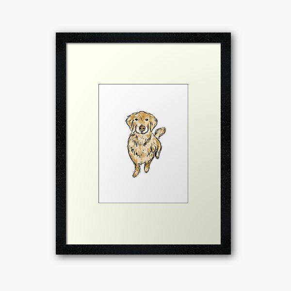 golden retriever Framed Art Print