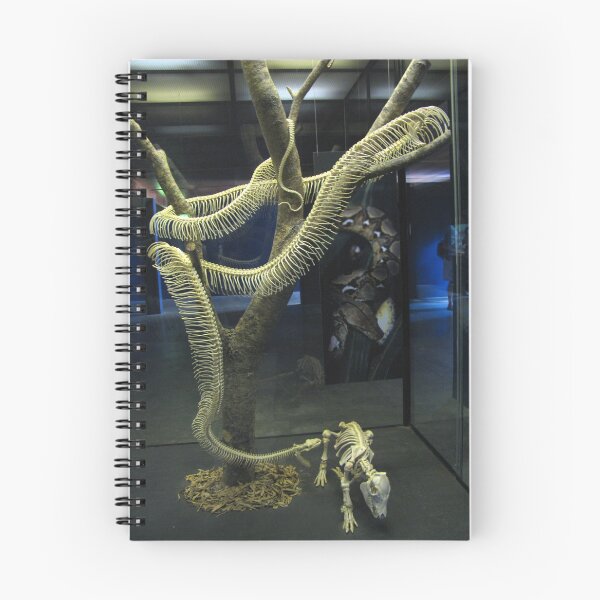Item preview, Reticulated Python Skeleton designed and sold by Marilyn Harris.