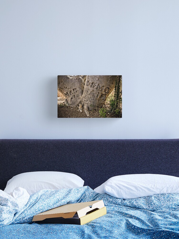 Thumbnail 1 of 3, Canvas Print, " Mermaid Tree", Careening Bay, Kimberley Coast. designed and sold by Tim Wootton.