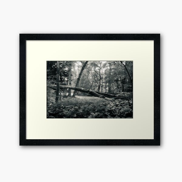 One of the Fallen Oak Openings Metro Park Framed Art Print