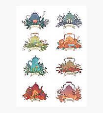 The Wheel of the Year: teapots Photographic Print