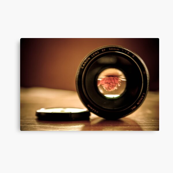Item preview, Lens through Lens designed and sold by Lorraine Creagh.