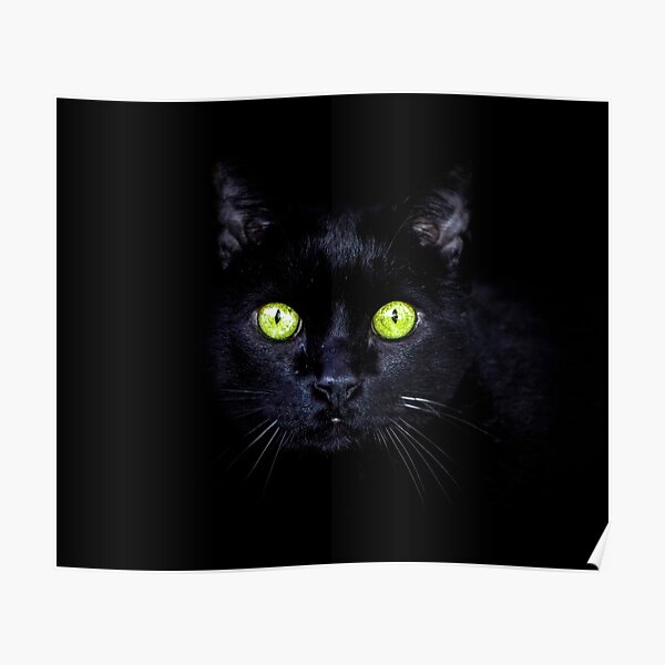 Black Cat Posters Redbubble - black cat hat roblox