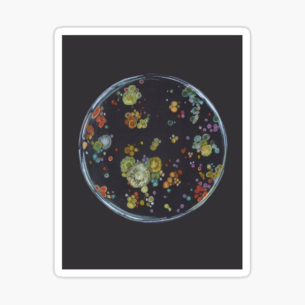 Bunter Schimmel / Pilze Sticker