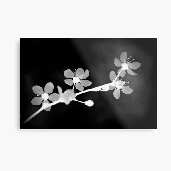 something different Metal Print