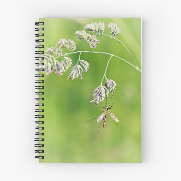 Item preview, Hang on in there designed and sold by Vicki Field.