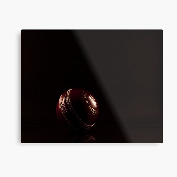 Cricket ball Metal Print