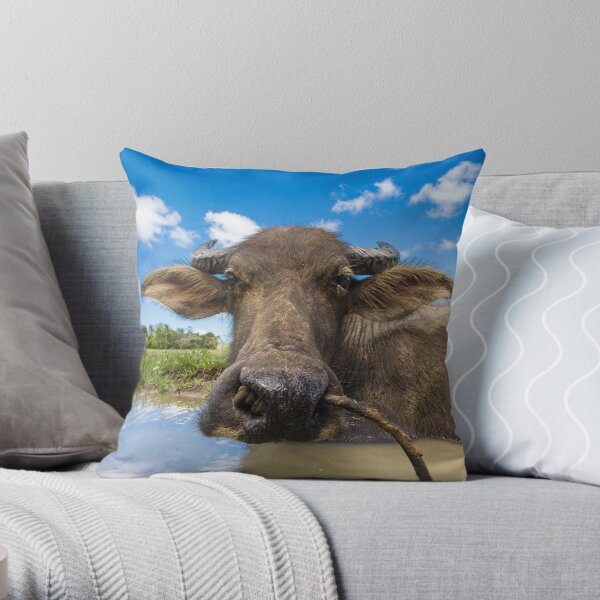 Carabao, Elnido, Palawan, Philippines Throw Pillow