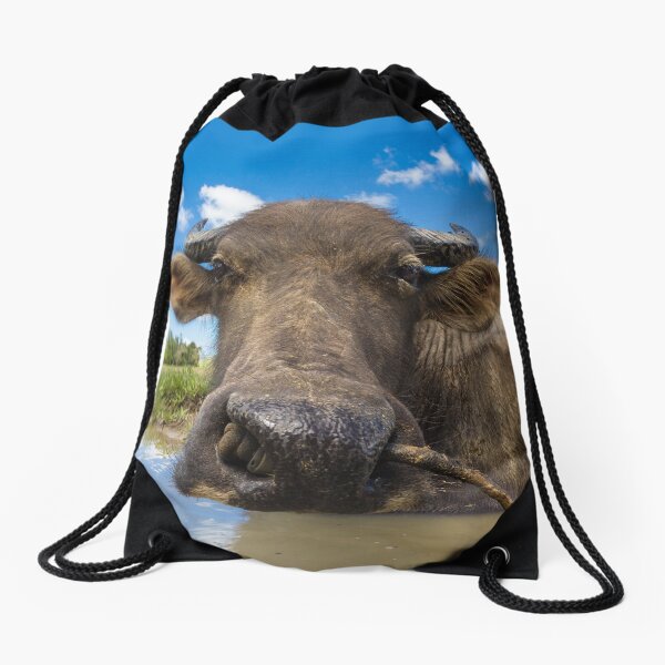 Carabao, Elnido, Palawan, Philippines Drawstring Bag