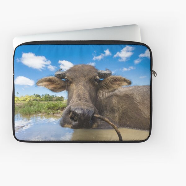Carabao, Elnido, Palawan, Philippines Laptop Sleeve